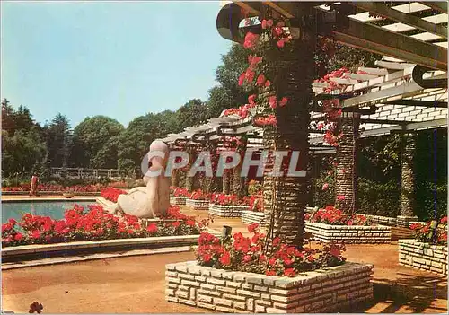 Cartes postales moderne Lyon Le Parc de la Tete d'Or La Roseraie Au Centre Statue de M Andre Tajama Sculpteur