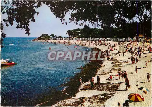 Cartes postales moderne Ile de Noirmoutier La Plage des Dames