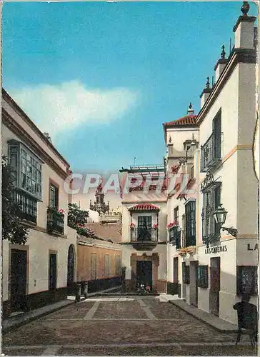 Moderne Karte Sevilla Quartier de Santa Cruz