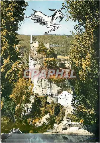 Cartes postales moderne Les Gorges du Tarn (Lozere) Castelbouc Chevre Bouc