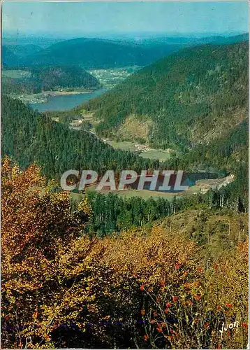 Cartes postales moderne La Vallee des Lacs Les Hautes Vosges Couleurs et Lumiere de France