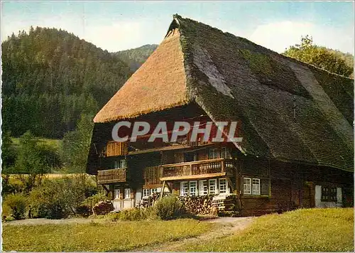 Cartes postales moderne Schwarzwalder Bauernhaus