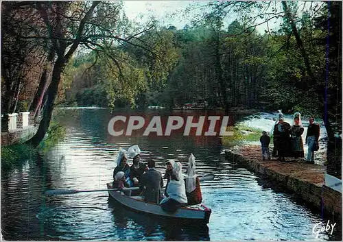 Cartes postales moderne La Normandie Folklore de France Groupe de Pont d'Ouilly (Calvados) Au fil de l'Orne Blaudes el C