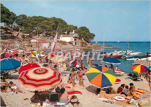 Cartes postales moderne Bormes les Mimosas (Var) La Cote des Maures La Plage de la Faviere