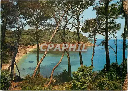 Cartes postales moderne Mediterranee aux Plages d'Or Ensoleillees Reflets