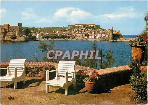 Cartes postales moderne Collioure (P O) En Parcourant la Cote Vermeille Vue Panoramique sur la Ville Le Chateau Fort La