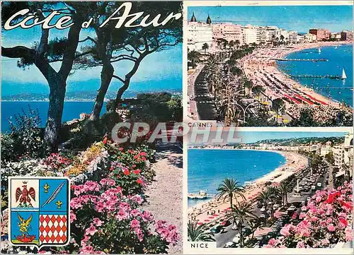 Cartes postales moderne Cote d'Azur French Riviera Cannes Le Vieux Port Nice La Promenade des Anglais Monaco Les Jardins