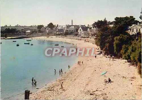 Cartes postales moderne Ile de Batz La Bretagne en Couleurs La Plage du Bourg