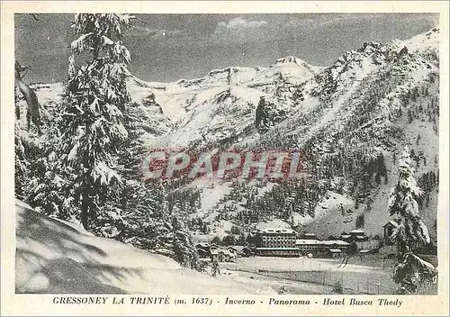 Cartes postales moderne Gressoney La Trinite (m 1637) Inverno Panorama Hotel Busca Thedy