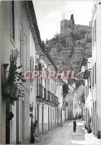 Cartes postales moderne Tomar (Portugal) Rue Dr Joaquin Jacinto