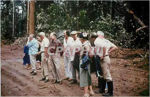 Photo Hommes Jungle