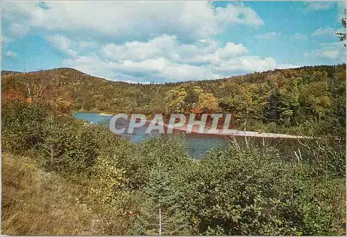 Cartes postales moderne Margaree River Cape Breton