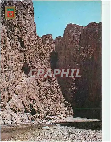 Cartes postales moderne Tinerhir Les Gorges du Todra