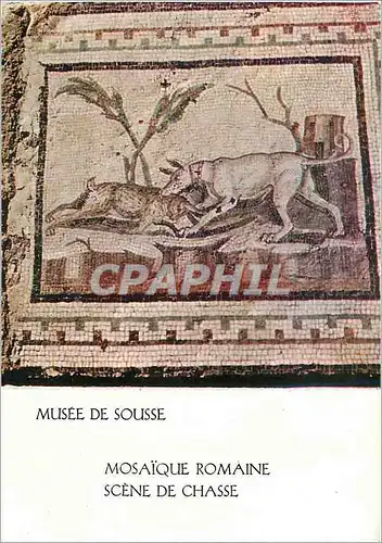 Cartes postales moderne Musee de Sousse Mosaique Romaine Scene de Chasse