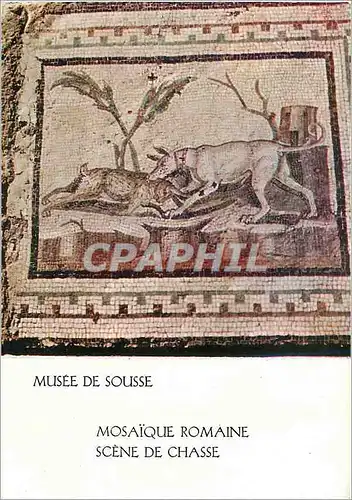 Moderne Karte Musee de Sousse Mosaique Romaine Scene de Chasse