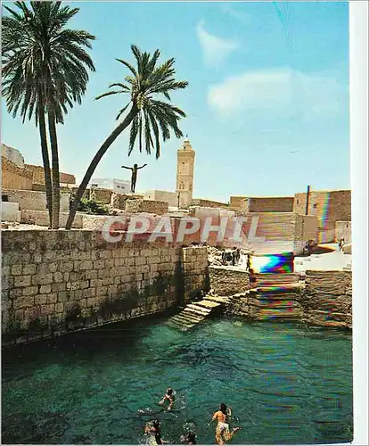Cartes postales moderne Gafsa La Piscine Romaine
