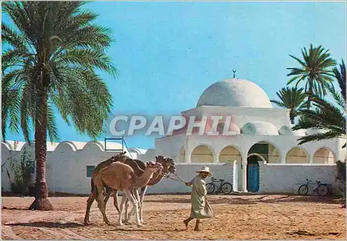 Moderne Karte Djerba La Mosquee de Mahbouline