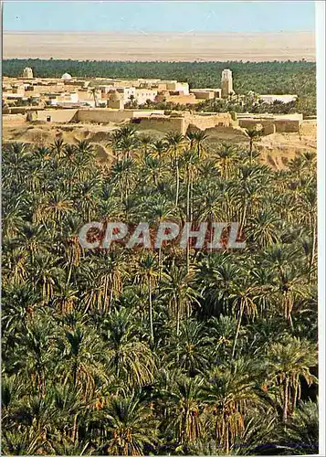 Cartes postales moderne Nefta La Corbeille