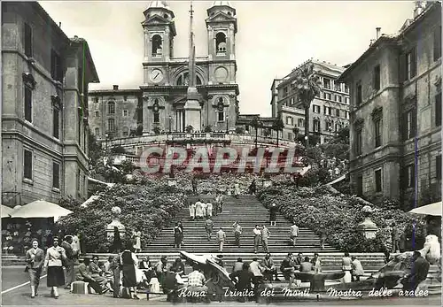 Cartes postales moderne Rome Trinite des Monts Exposition des azalees