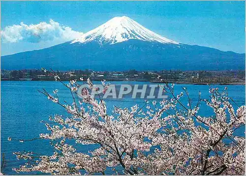 Moderne Karte Fuji and Cherry Blossoms The Symbols of Japan