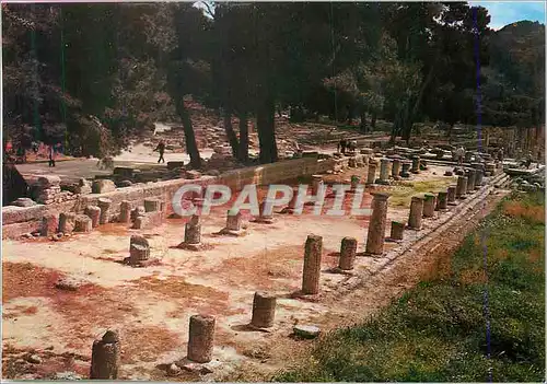 Moderne Karte Olympie Le Gymnase