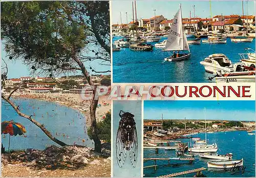 Cartes postales moderne Calanque des Tamaris La Couronne Plage du Verdon Port de Carro