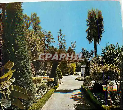 Cartes postales moderne Barbotan les Thermes (Gers) Les Jardins