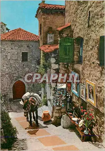 Moderne Karte Provence Cote d'Azur Vieille Rue et Scene Pittoresque du Folklore Mediterraneen Ane Donkey
