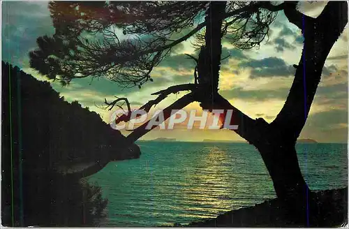 Cartes postales moderne Laredo Soleil Levant