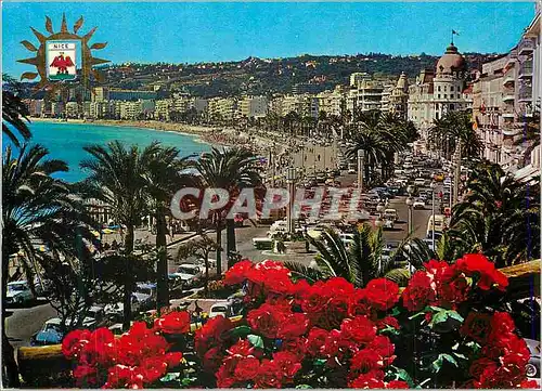 Cartes postales moderne Nice Cote d'Azur French Riviera La Promenade des Anglas