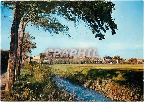 Cartes postales moderne Chaille les Marais (Vendee) Paysages Typique