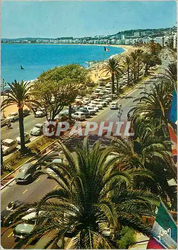 Cartes postales moderne Nice (Alpes Maritimes) La Cote d'Azur Couleurs et Lumiere de France Miracle de la Nature Promena