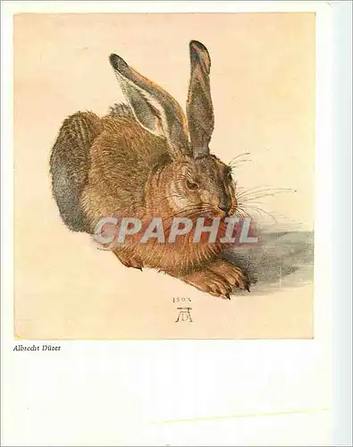 Cartes postales moderne Wien Albertina Albrecht Buret (1471 1528) Le Lievre