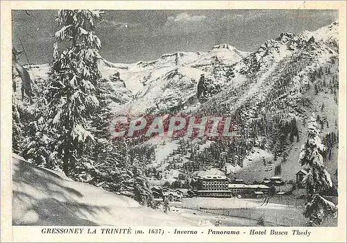 Cartes postales moderne Gressoney la Trinite (M 1637) (Aosta) Inverno Panorama Hotel Busca Thedy