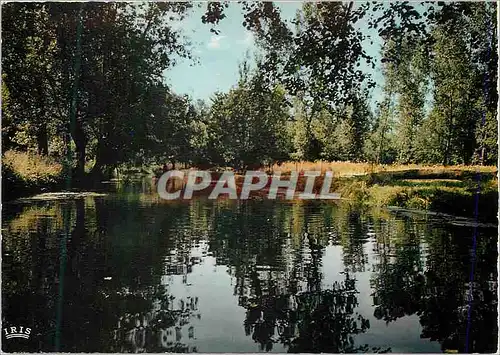 Cartes postales moderne Marais Poitevin Venise Verte Le Biffour Route d'eau entre Coulon et la Garette