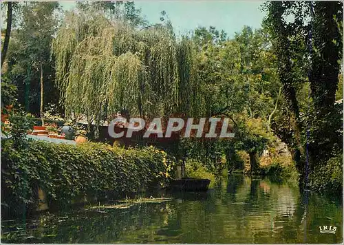 Cartes postales moderne Marais Poitevin Venise Verte La Conche des Cabanes Route d'eau entre Coulon et la Garette