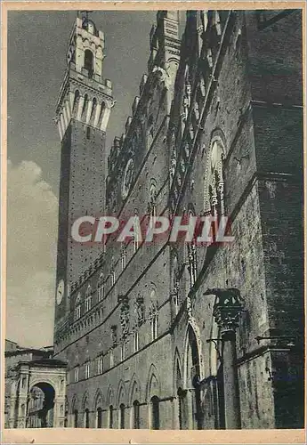 Cartes postales moderne Siena Palazzo Pubblico
