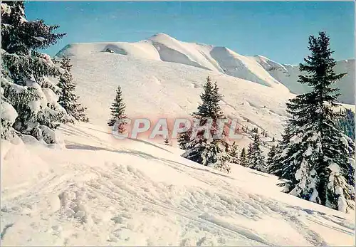 Cartes postales moderne Les Pistes de Mont Joux (1957 m) et le Mont Joly (2525 m)