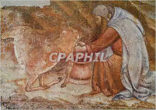 Cartes postales moderne Pisa Camposanto Monumentale Triomphe de la Mort Detail