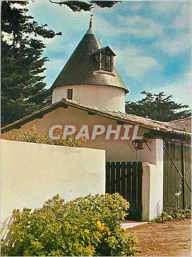 Cartes postales moderne Ile de Re Ars en Re L'Ancien Moulin