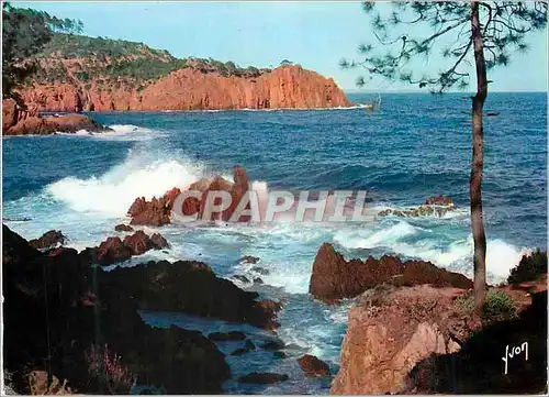 Cartes postales moderne Cote de L'Esterel (Var) La Cote d'Azur Couleurs et Lumiere de France Miracle de la Nature