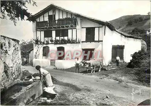 Cartes postales moderne Le Pays Basque Type de Ferme Basque Folklore B�ufs Attelage