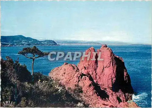 Cartes postales moderne Un Coin de la Corniche d'Or Reflets de la Cote d'Azur Au Loin la Cote Connoise et les Alpes