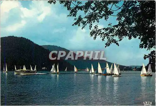 Cartes postales moderne Gerardmer Les Vosges Pittoresques Regales sur le Lac