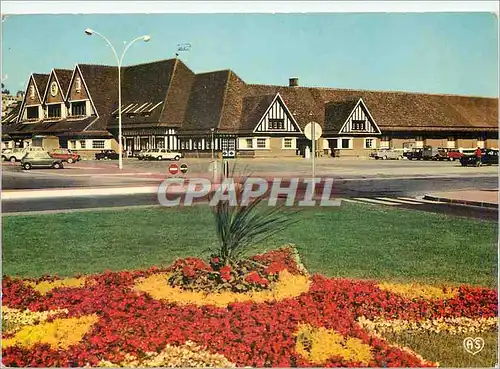 Cartes postales moderne Trouville Deauville (Calvados) La Cote Fleurie La Gare et les Jardins