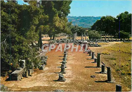 Moderne Karte Olympie Le Gymnase