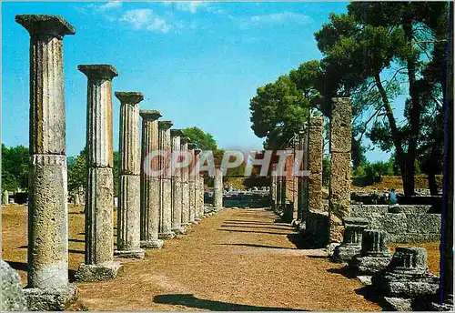 Cartes postales moderne Olympie La Palestre