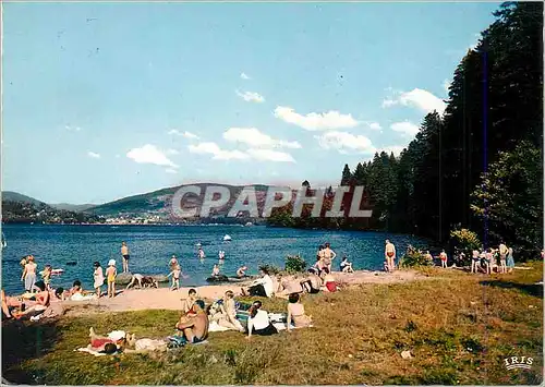 Moderne Karte Gerardmer (Vosges) Le Bout du Lac