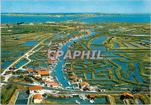 Cartes postales moderne Ile d'Oleron (Charente Maritime) La Cote Atlantique Le port Ostreicole d'Ors etses Claires