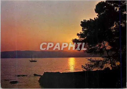 Cartes postales moderne Les Sites Merveilleux de la Cote d'Azur Coucher de Soleil sur la Mediterranee